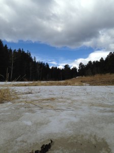 And yet another view.